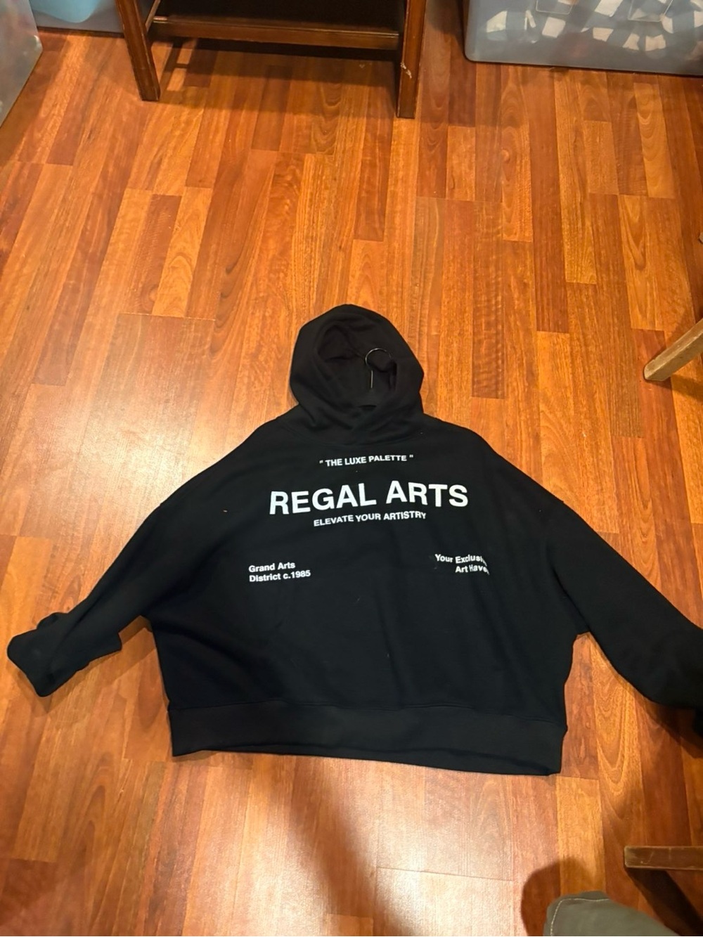 PacSun Black Regal Arts Graphic Hoodie